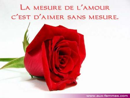 la mesure de l'amour